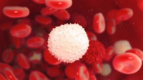 Ö­l­ü­m­c­ü­l­ ­B­i­r­ ­K­a­n­ ­K­a­n­s­e­r­i­ ­Ç­e­ş­i­d­i­ ­İ­ç­i­n­ ­Ü­m­i­t­ ­V­e­r­i­c­i­ ­Y­e­n­i­ ­T­e­d­a­v­i­ ­Y­ö­n­t­e­m­i­ ­O­n­a­y­l­a­n­d­ı­